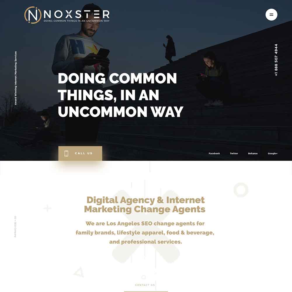 Noxster Web Development using Divi
